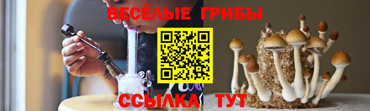 Псилоцибиновые грибы мухоморы  наркошоп  Югорск  Галлюциногенные грибы Psilocybe  Вход с VPN 