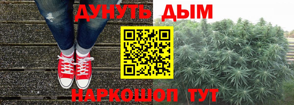 Конопля индика Югорск